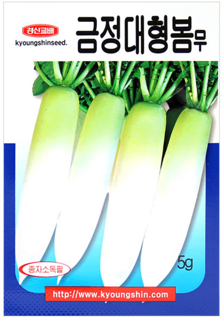 세인화분 금정 대형 봄무 5g - 씨 씨앗 무씨 무씨앗 김장무, 1개