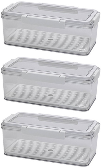 살림공간 채반용기 야채 보관 밀폐용기 냉장고 정리, 대형, 3개