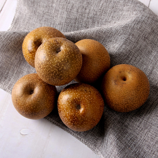 광양 야생 토종 참돌배 3kg 5kg 10kg, 1개