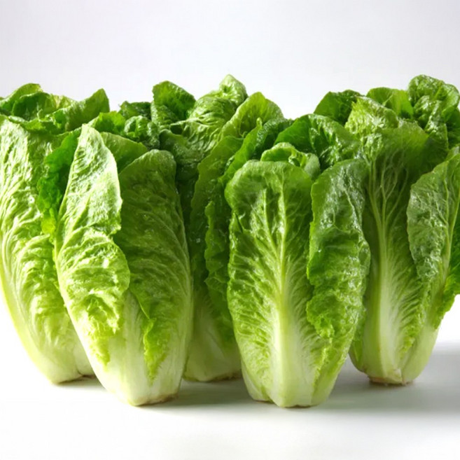 의령농산 건강채소 국내산 아욱 1kg/2kg/4kg, 1박스, 1kg