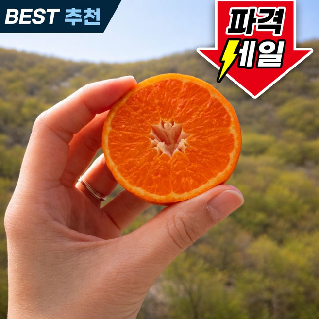 (호텔납품)농장직송 초고당도 제주 카라향, 1박스, 3kg