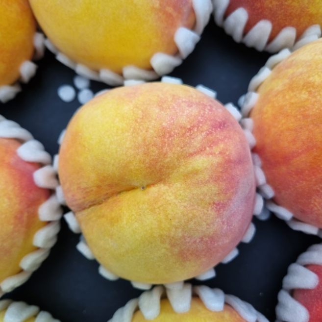 푸롯온 고당도 백도 황도 말랑이 복숭아, 1박스, 3kg 특대과 (7과)