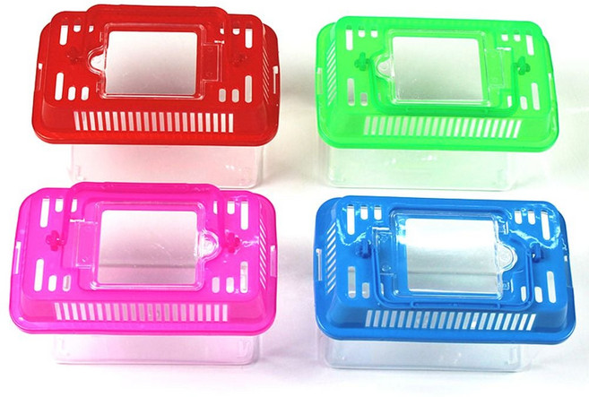 곤충 채집통 소 관찰통 파충류 다슬기 보관 케이스 hol+823CA