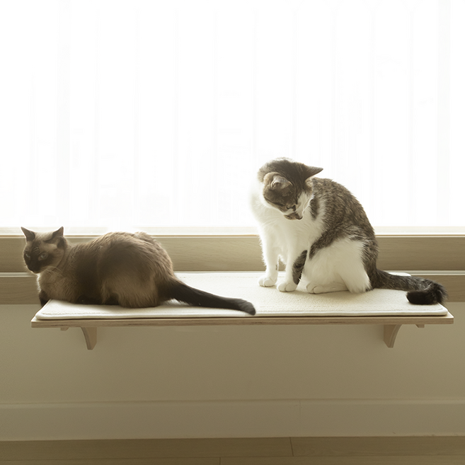 오늘애펫 고양이 창틀선반 80cm 초대형 와이드 스크래처 보드, 1개, 그레이