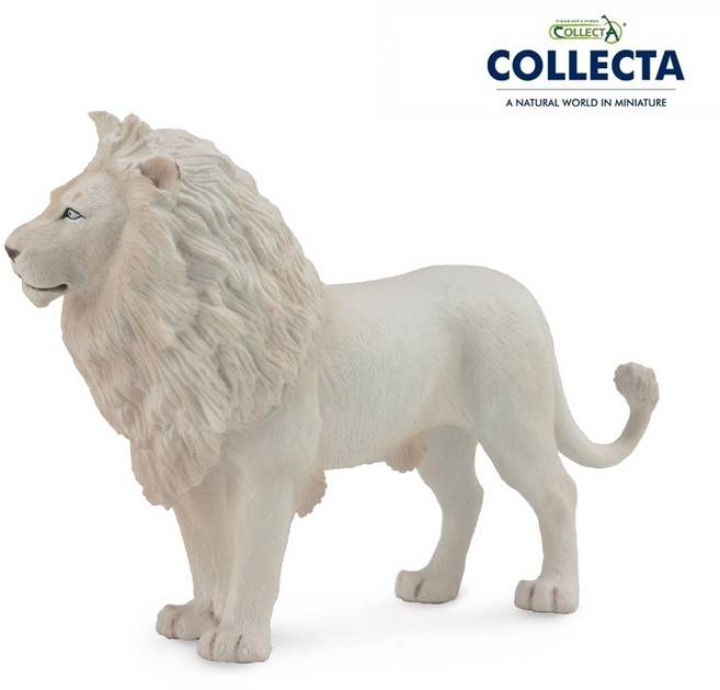 컬렉타 수컷 아프리카 백사자 88785, 1개