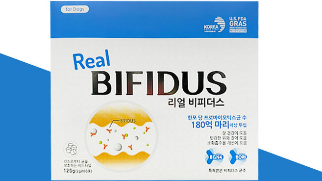 에스틴 강아지 영양제, 60회분, 장건강/유산균, 1개