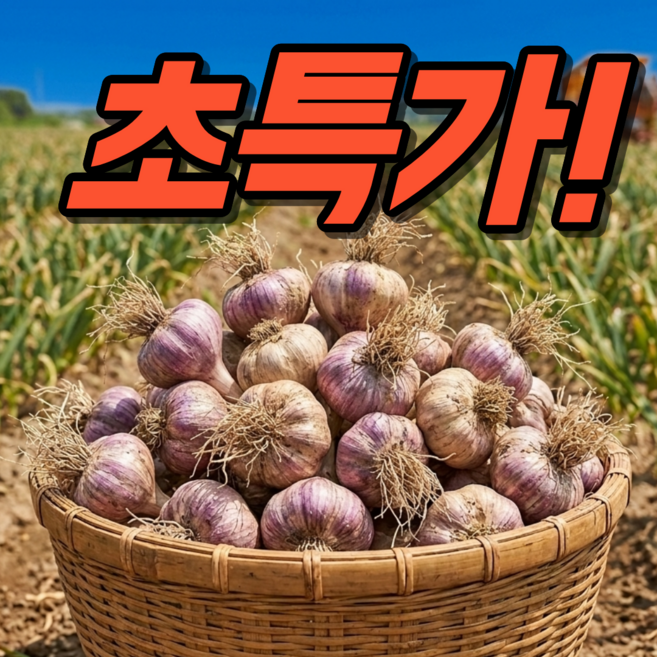 [초특가]1차완판 농장직송 맛있는 국산 햇 마늘 통마늘, 1박스, 5kg