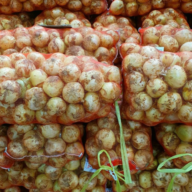 청원농산 햇양파 10kg 20kg, 10kg(소 장아찌용), 1개