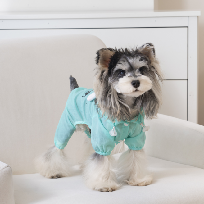 넥스트엣지 펫파션 귀여운 캐릭터 바람막이 D링 방수 강아지 올인원 애견옷, 1개, 아쿠아 민트