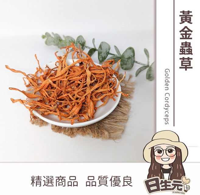 日生元 黃金蟲草藥膳包, 1個, 黃金蟲草 300g