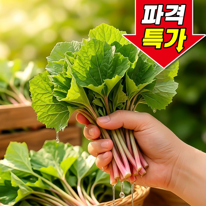 [산지직송] 머위나물 향긋산뜻 머위잎 국산머위, 1박스, 1kg