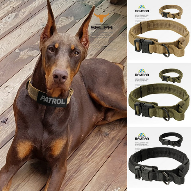 셀파 바우만 목줄 개줄 개목걸이 개목줄 애견 견인줄 바우만 리드줄, SCD-N3001, 1개