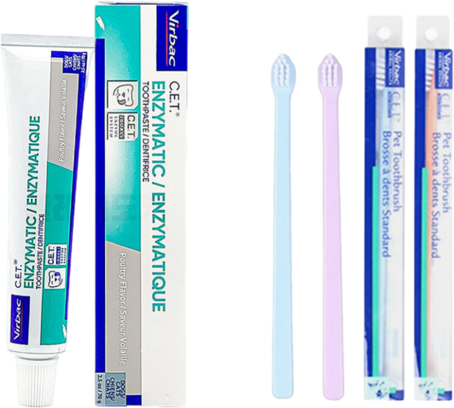 버박 닭고기맛치약 + 미니칫솔 2P, 70g, 1개