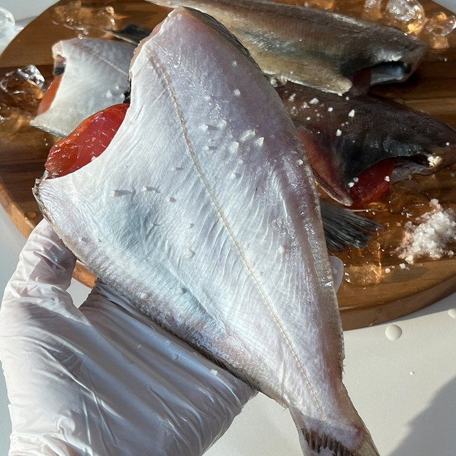 동해안 손질 참가자미 생물 급냉 알배기 가자미 구이용 찜용, 1박스, 알배기 참가자미 소 550g(4~6미)