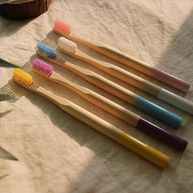 NPE 프리미엄 대나무 칫솔 5color [생분해 밤부 치솔], 화이트, 1개, 1개입