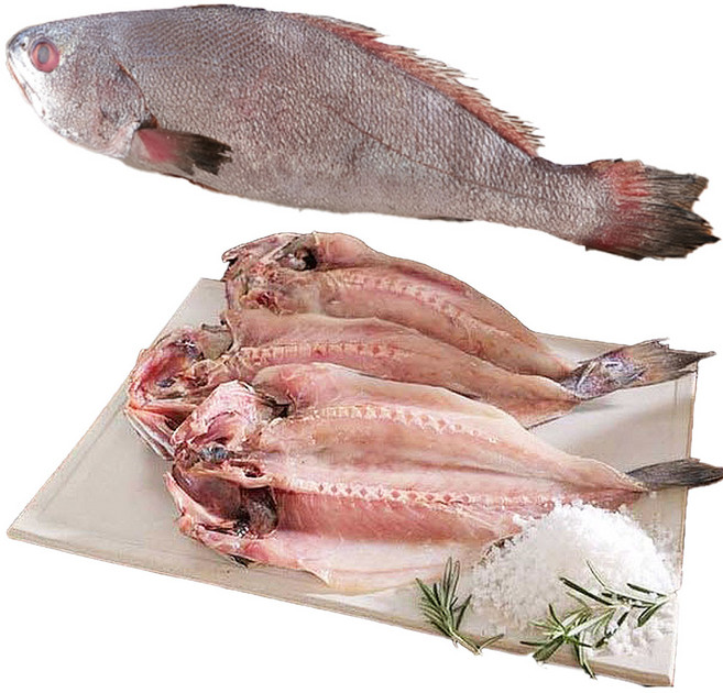 [TenTenPlus] 전남여수 국내산 민어 10마리/여수 반건조 통민어/할복민어 보양식 민어요리/여수수협 직수매 신선냉동/간편조리, 10개, 반건조 할복민어 230g