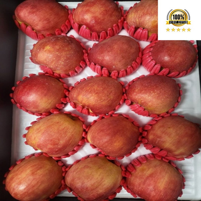 초고당도 15brix 홍로 사과 특품, 1박스, 특품 10kg (35~40과)