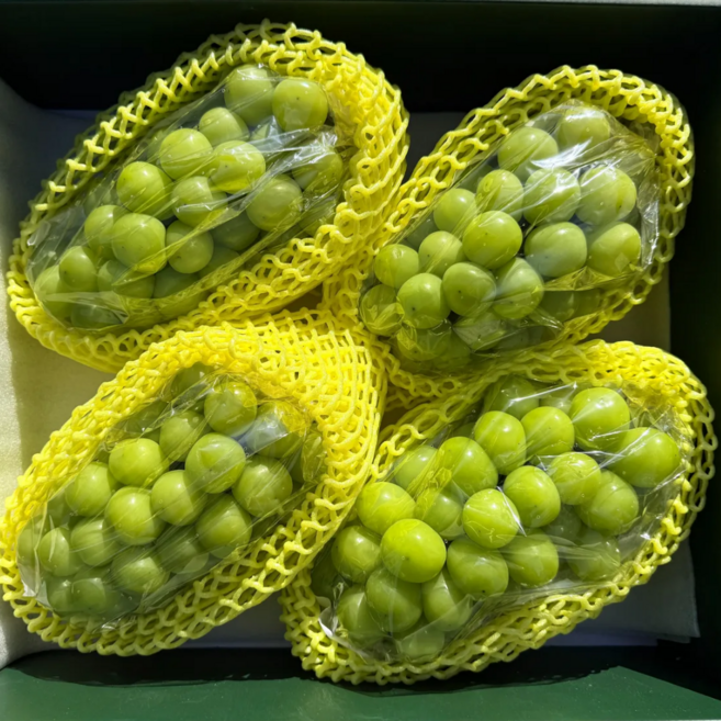 고당도 당도선별 특품 샤인머스켓 선물세트, 1박스, 특품 3~4송이 (2kg내외)