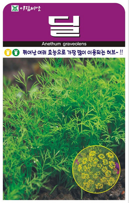 솔림텃밭몰 아람종묘 딜씨앗 300립 딜 향신계 허브씨앗, 5개