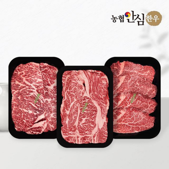 농협안심한우 1등급 한우 600g 실속세트, 1개