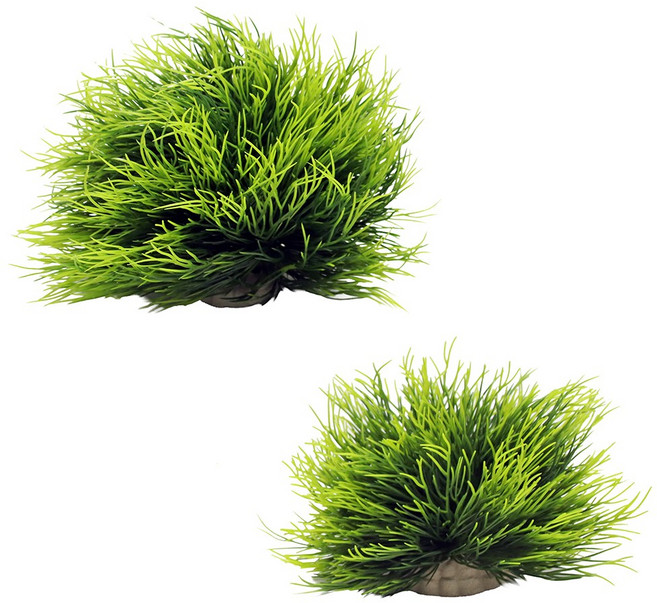 수풀조화 대소세트 수족관장식용 어항꾸미기 물고기 은신처 새우놀이터, 1개