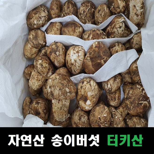 송이버섯 자연산 냉동송이버섯 터키산, 4등급(20송이내외, 모양크기랜덤), 4등급 1kg, 1개