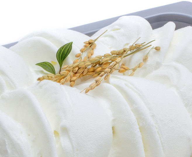 파브리 젤라또 5L(3kg) 리조 대용량 아이스크림 구 쥬조, 1개, 5L