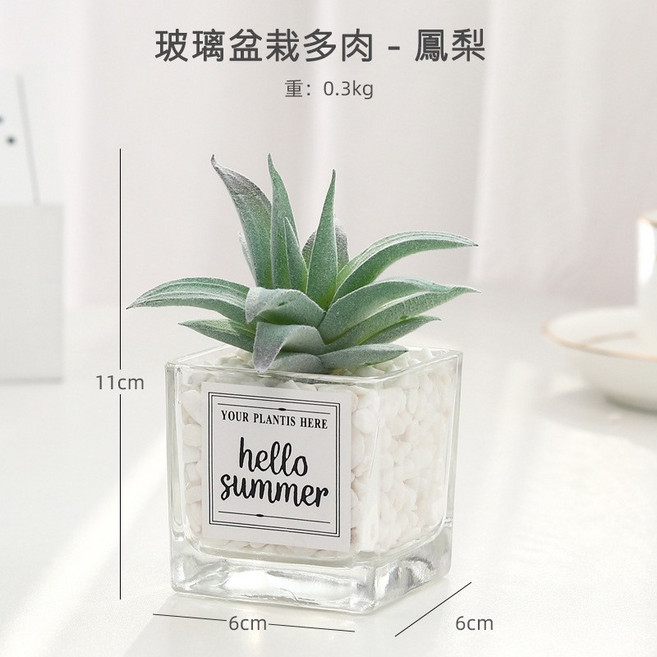 玻璃盆栽多肉 - 鳳梨, 1個