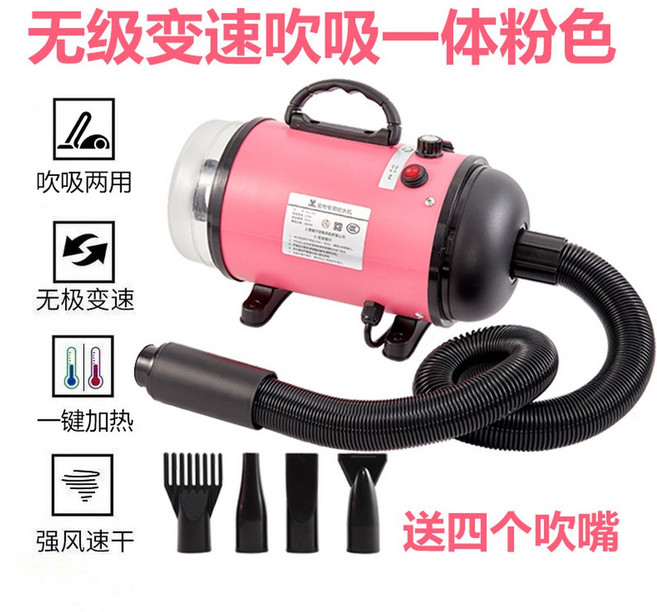 고출력 헤어 드라이어 고출력드라이어 외 1세대 LED 신형 발레라 차량용, 220V 유러피언핑크 워 라이 일체형