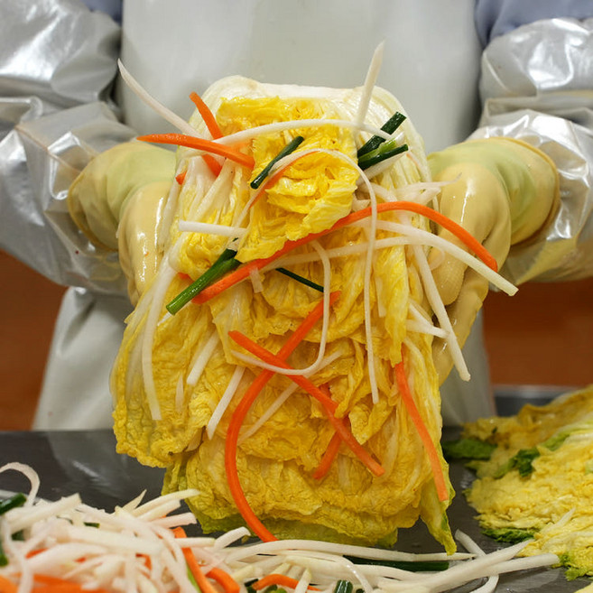 국내생산 당일제조 시원하고 깔끔한 주안이네 백김치, 5kg, 1개