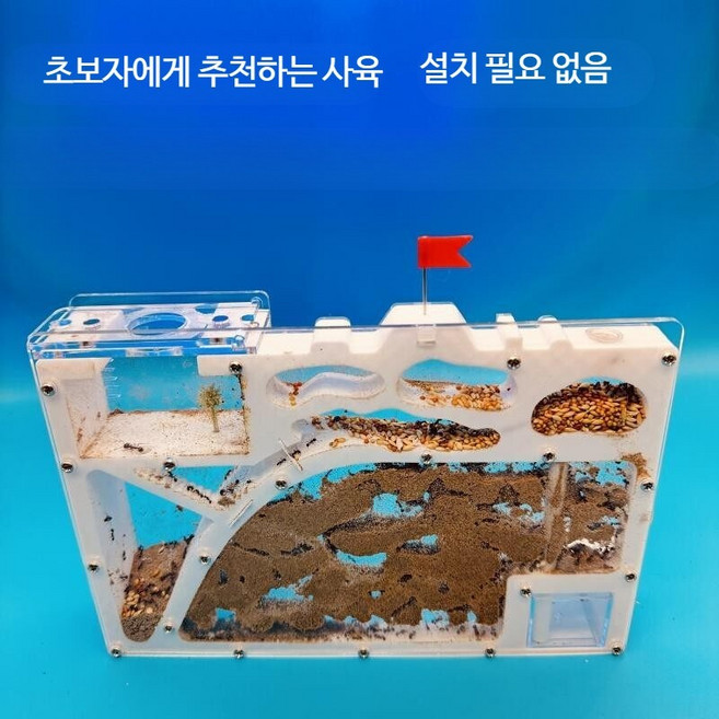 개미집 개미 키우기 키트 관찰 세트, 1개, A형 미들 사이즈 성 한 세트 (개미 제외)