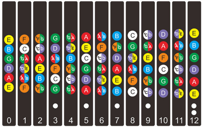 기타 스케일 코드 스티커 12플렛 타입, 1개