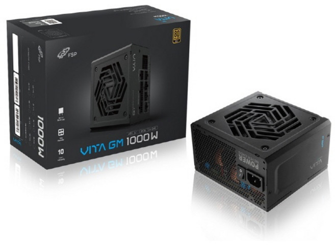 FSP VITA GM 1000W 80PLUS Gold ATX 3.1 파워서플라이, VITA-1000GM(블랙)