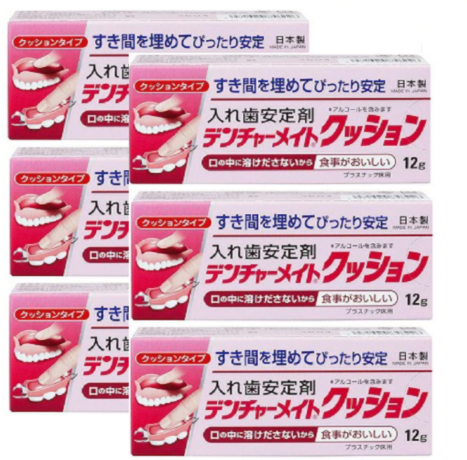 일본 덴처메이트 틀니 접착제 의치 안정제 12g, 12ml, 6개