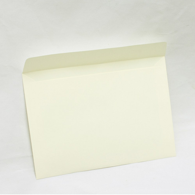 페이퍼포레스트 A5 봉투 우편 215X155cm 20개, 3.연미(A5봉투 20장), 20매