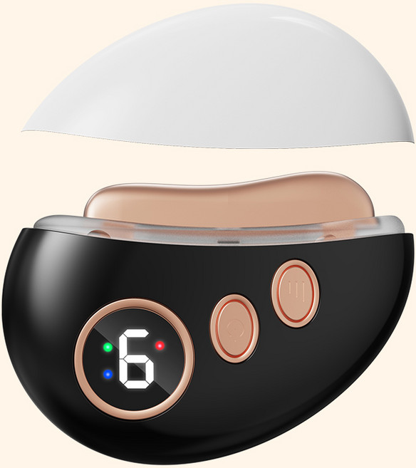 NICHIYOU 갈바닉 피부 마사지기 얼굴 안마기, 블랙, 1개