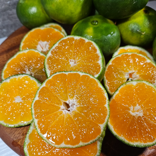 과채아빠 제주 노지 감귤 귤 당도선별 농장직송, 1박스, 3kg