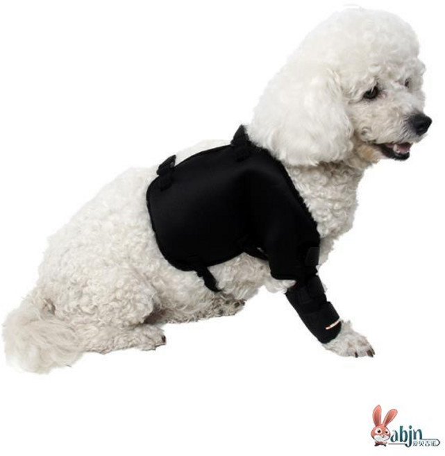 LongFatoys 강아지 슬개골탈구 고관절탈구 십자인대 관절 슬개골보정 밴드 깁스 강이지슬개골보호대, 1개, 오른쪽 앞다리