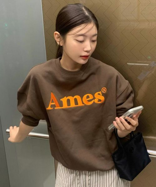 아메스 월드와이드 amesworldwide BASIC LOGO SWEATSHIRT BROWN