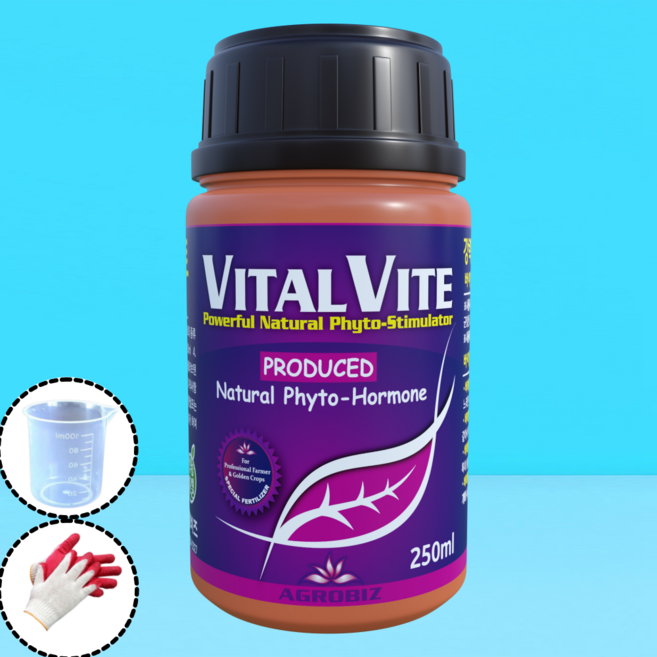 바이탈비트 대사활성 효소 뿌리발근 비대제 생육촉진 성장호르몬 뿌리루트 영영제 아그로비즈, 250ml, 1개