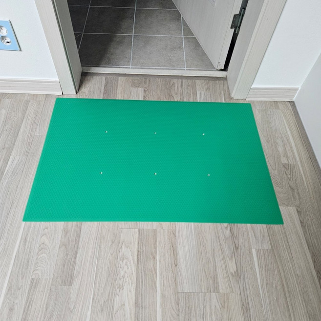 화장실 미끄럼방지 매트 현관 논슬립 어르신 복지용품 낙상방지 늘찬복지용구 SWSM02 녹색 노인 장기요양 등급 복지용구 실버용품 요양등급 어르신용품, 1개, 노인장기요양등급 할인구매(본인부담금 9%)