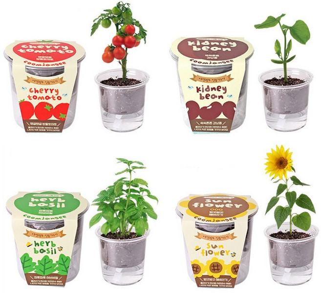 집에서식물키우기 자동급수 저면관수 식물재배기 화분 세트, 방울토마토, 방울토마토, 방울토마토