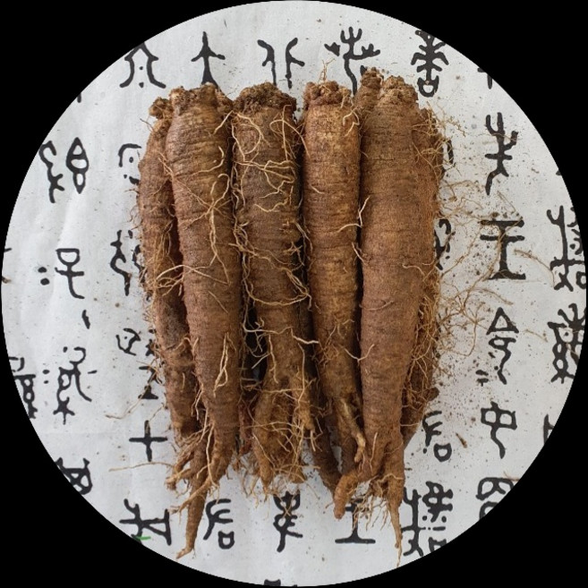 청청청 횡성더덕농가 중품 상품 특품 왕특1kg 깐더덕-400g, 중품1kg, 1개