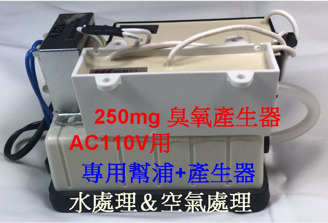 惠柏 250mg臭氧產生器 蔬果清淨機, 1個