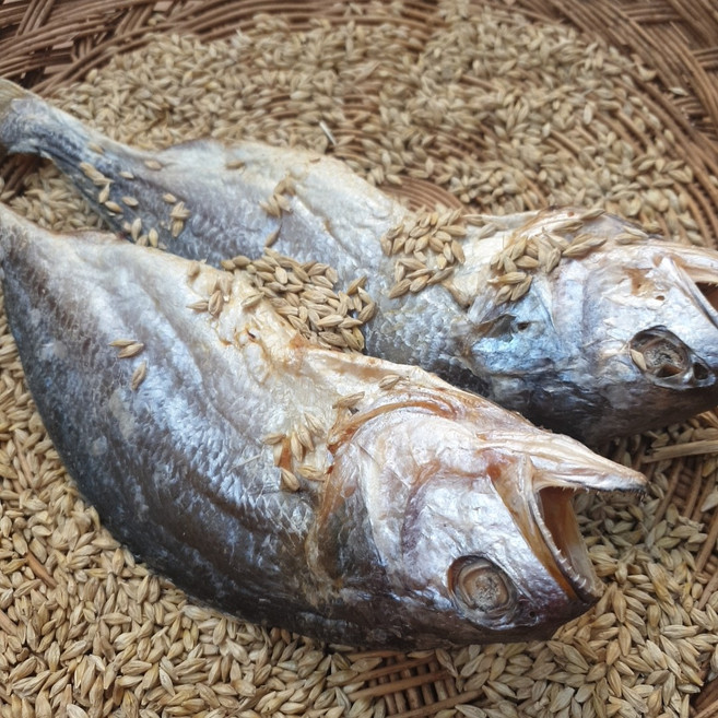 완전손질 수작업 영광 법성포 보리굴비 왕특대 31~32cm (개별 진공포장 내장 비늘 지느러미 꼬리 제거 ) 받으신후 20분 쪄서만 드세요 녹차가루증정, 5개, 31cm~32cm