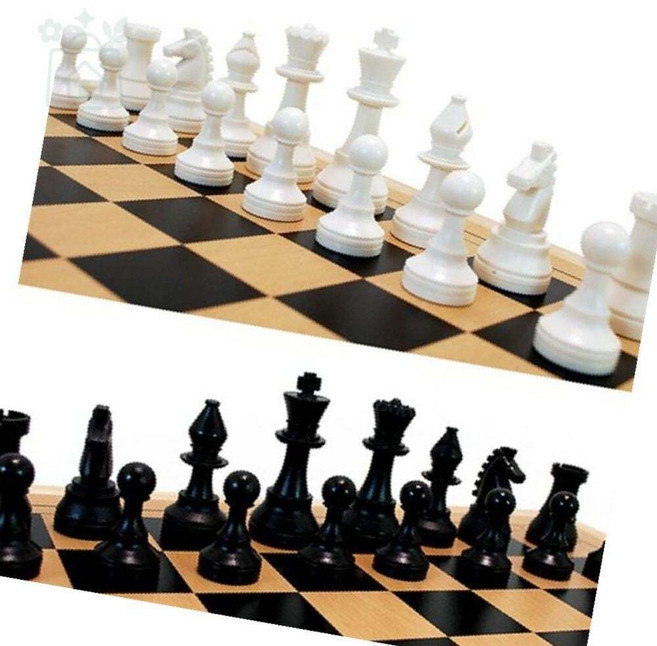 루다스 대회용체스 대형 체스말세트 자석형 국산