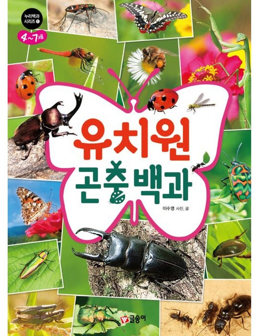 유치원 곤충 백과, 누리백과 시리즈 1, 글송이