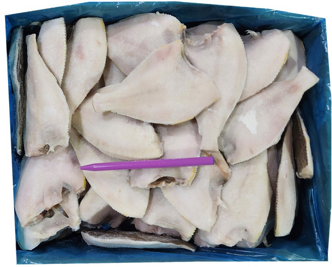 조은상사 냉동 가자미 4.5kg 1박스100-150 150-200 80-100, 1박스, 가자미80-100 47미내외4..5kg1박스