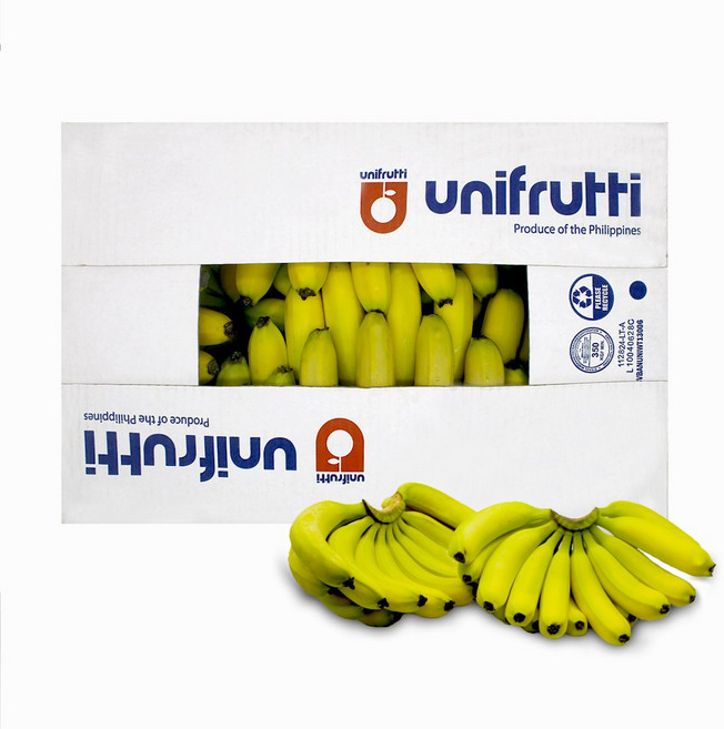 더노랑 필리핀 바나나 델몬트 유니 4.2kg 6kg 13kg, 필리핀 유니프루티 8수 또는 9수, 1박스, 13kg내외