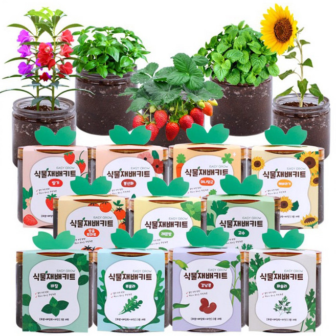 가정용 식물 재배 키트 셀프 새싹 씨앗 채소 과일 방울토마토 딸기 고수 바질 꽃 키우기 체험, 레몬밤